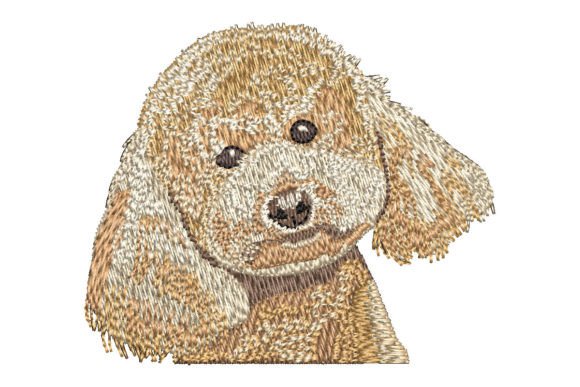 Apricot Poodle: A Seasonal Embroidery Review